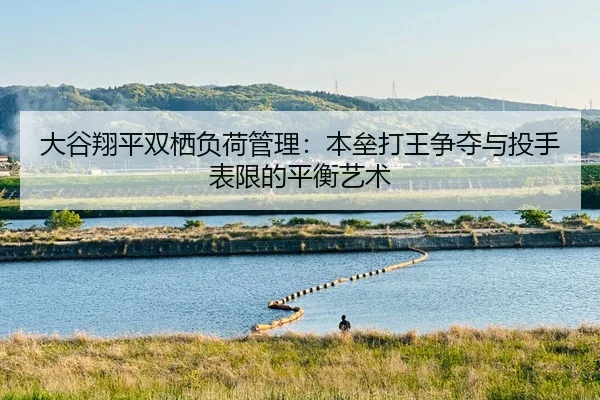 da-gu-xiang-ping-shuang-qi-fu-he-guan-li-ben-lei-da-wang-zheng-duo-yu-tou-shou-biao-xian-de-ping-heng-yi-shu-2-254.jpg