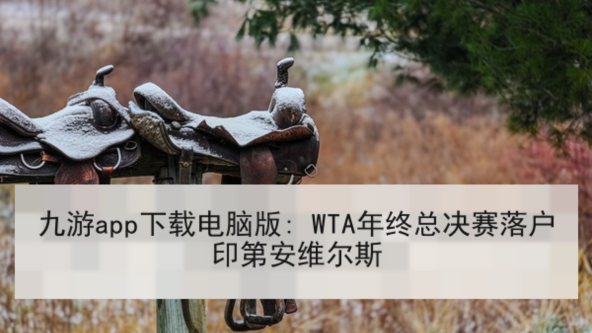 九游app下载电脑版: WTA年终总决赛落户印第安维尔斯