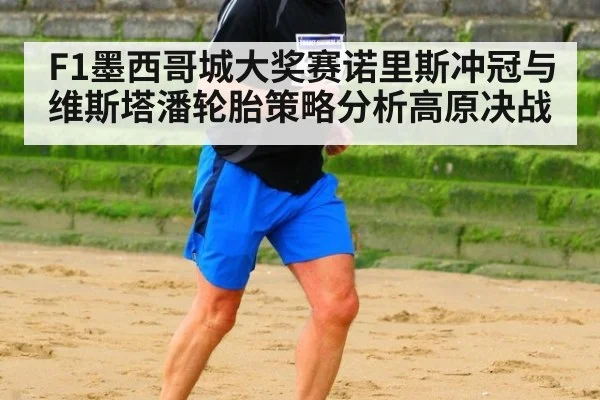 F1墨西哥城大奖赛诺里斯冲冠与维斯塔潘轮胎策略分析高原决战